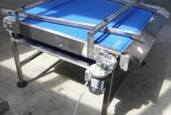 PLASTIC MODULAR CONVEYOR FOR EGGS