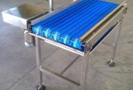 Conveyor for eggs - agribusiness industry